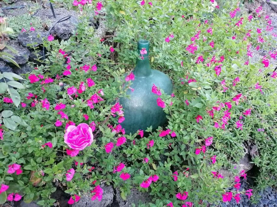 Hacienda La Centenaria,Casas Rurales El Paso Zewnętrze zdjęcie
