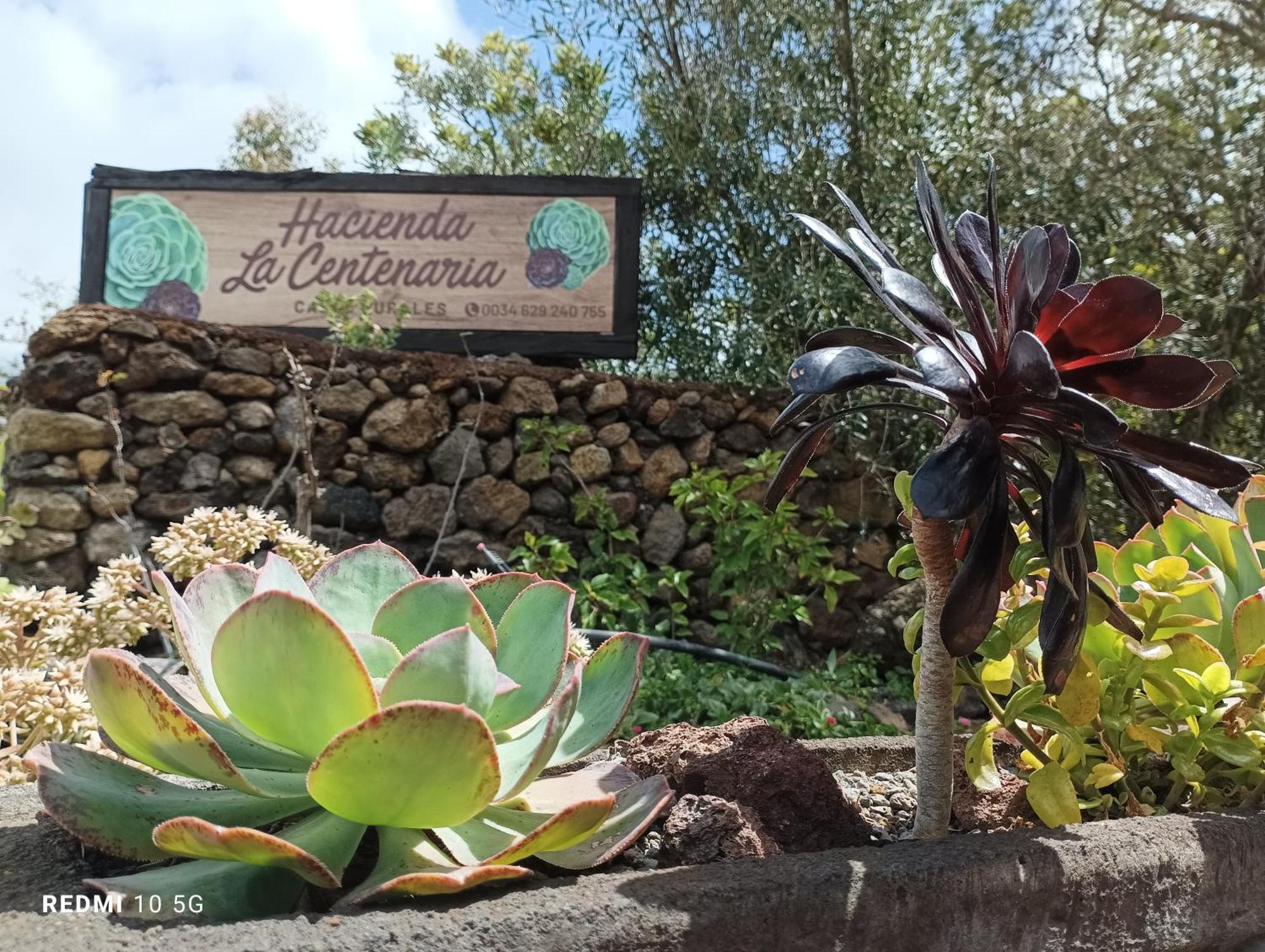 Hacienda La Centenaria,Casas Rurales El Paso Zewnętrze zdjęcie